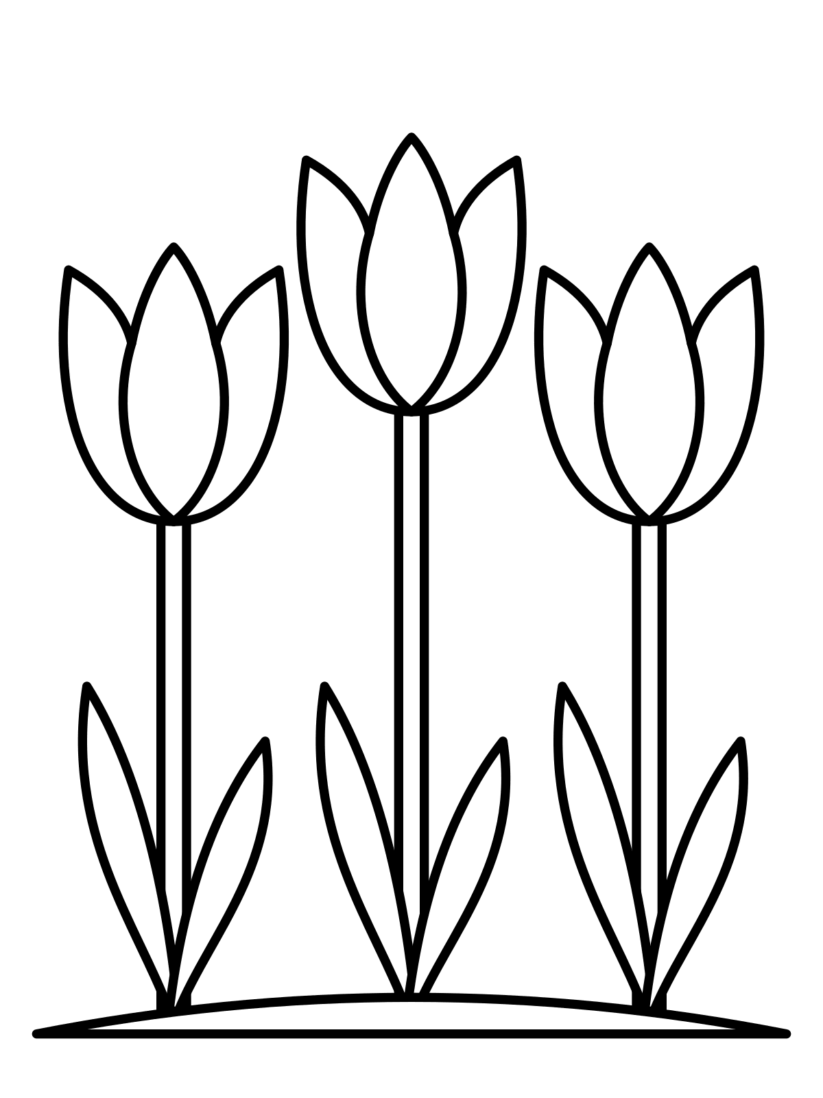Tulips Coloring Page — Free Printable Line art coloring page of three tulips standing in a row, printable on A4 or Letter